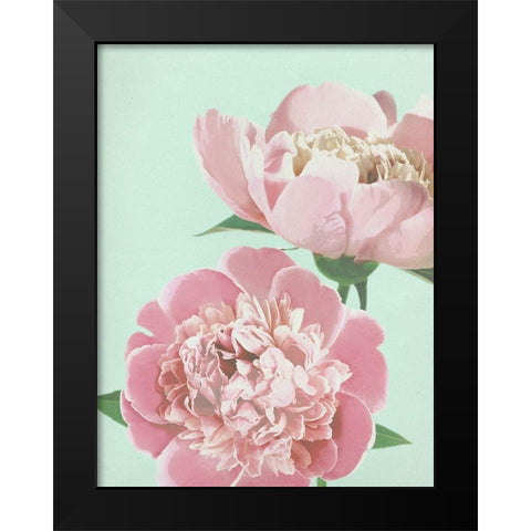 Summer Peonies Detail Black Modern Wood Framed Art Print by Dos Santos, Bella