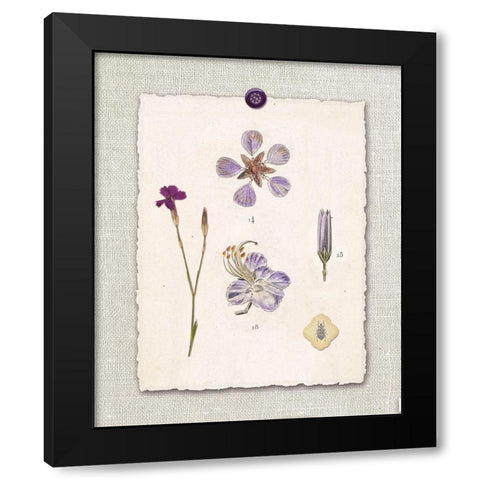 Paris Flea Market Petals Black Modern Wood Framed Art Print by Ross, Devon