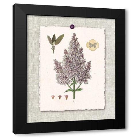 Paris Flea Market Lilacs Black Modern Wood Framed Art Print by Ross, Devon