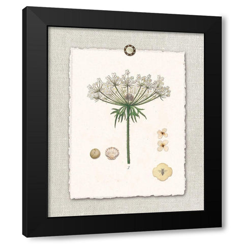 Paris FL Mrkt Queen Annes Lace Black Modern Wood Framed Art Print by Ross, Devon