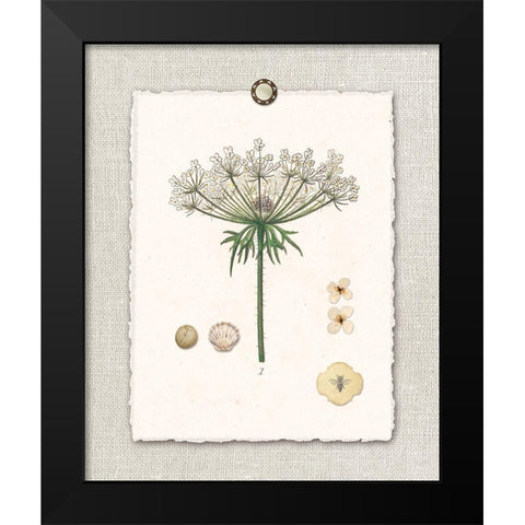 Paris FL Mrkt Queen Annes Lace Black Modern Wood Framed Art Print by Ross, Devon