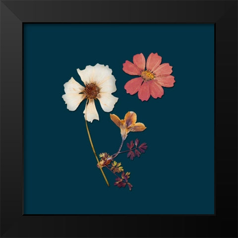 Garden Keepsake 1 Black Modern Wood Framed Art Print by Ross, Devon