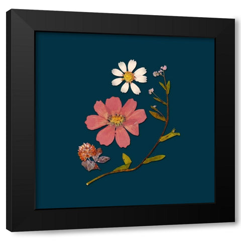 Garden Keepsake 2 Black Modern Wood Framed Art Print by Ross, Devon