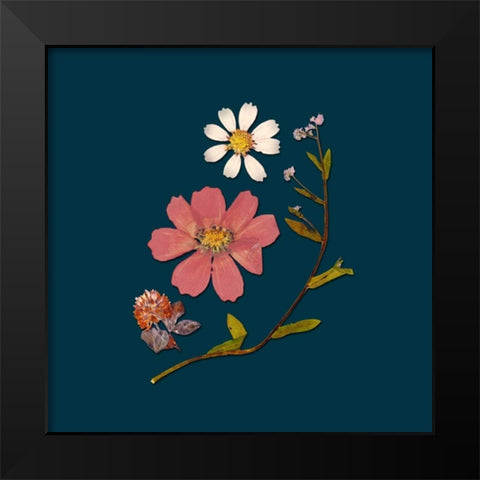 Garden Keepsake 2 Black Modern Wood Framed Art Print by Ross, Devon