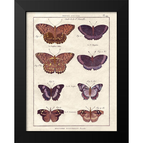 Histoire Naturelle 1 Black Modern Wood Framed Art Print by Wesley, Terrence