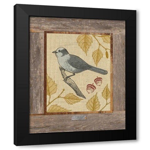 Gray Jay Black Modern Wood Framed Art Print with Double Matting by Appleman, Sam