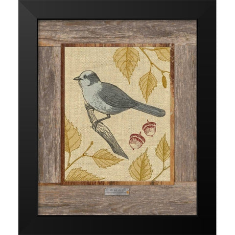Gray Jay Black Modern Wood Framed Art Print by Appleman, Sam