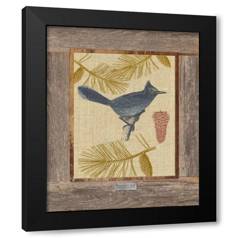 Steller Jay Black Modern Wood Framed Art Print with Double Matting by Appleman, Sam