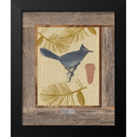 Steller Jay Black Modern Wood Framed Art Print by Appleman, Sam