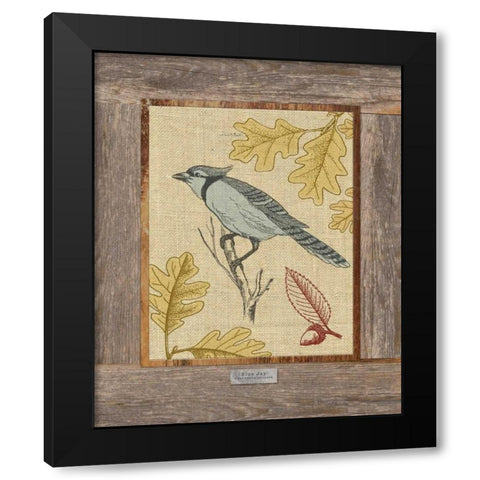 Blue Jay Black Modern Wood Framed Art Print by Appleman, Sam