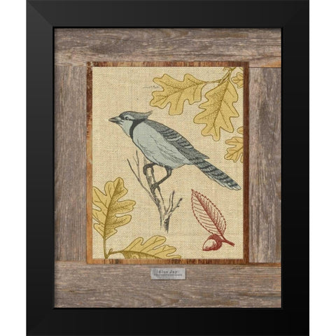 Blue Jay Black Modern Wood Framed Art Print by Appleman, Sam