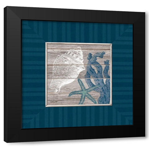 Coastal Treasures Black Modern Wood Framed Art Print with Double Matting by Appleman, Sam