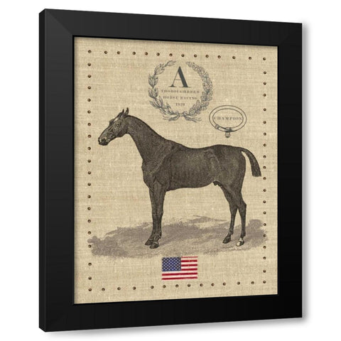 American Champion Black Modern Wood Framed Art Print with Double Matting by Appleman, Sam