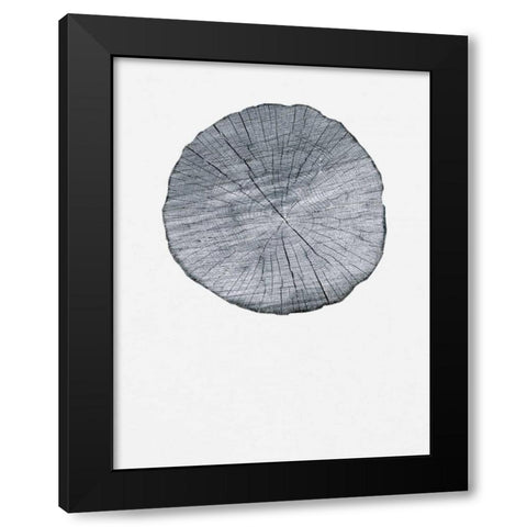 Old Growth Ring Print Black Modern Wood Framed Art Print with Double Matting by Appleman, Sam