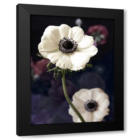 Renaissance Black Modern Wood Framed Art Print by Duprais, Cameron