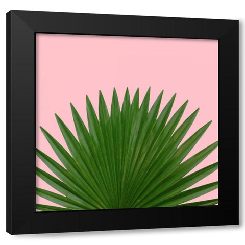 Miami Vibe 1 Black Modern Wood Framed Art Print by Duprais, Cameron