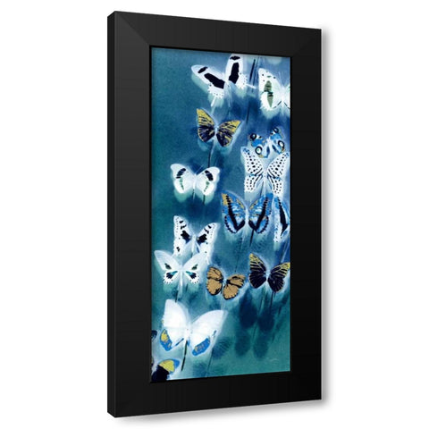 Morccan Blue Butterflies 1 Black Modern Wood Framed Art Print by Taylor, Evangeline