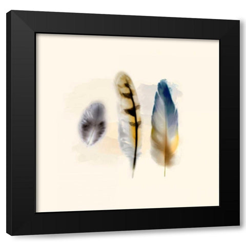 Three Feather Study 2 Black Modern Wood Framed Art Print by Taylor, Evangeline