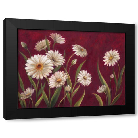 Harmony Daisies  Black Modern Wood Framed Art Print with Double Matting by Art Atelier Alliance