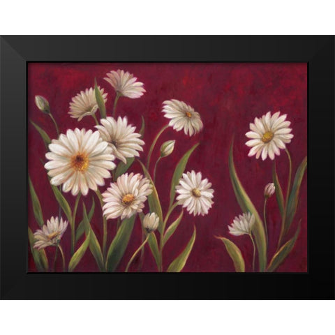 Harmony Daisies  Black Modern Wood Framed Art Print by Art Atelier Alliance