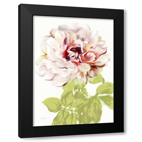 Blushing Peony 2 Black Modern Wood Framed Art Print by Art Atelier Alliance