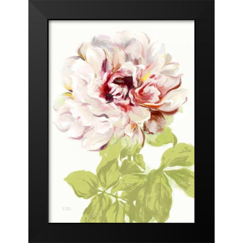 Blushing Peony 2 Black Modern Wood Framed Art Print by Art Atelier Alliance