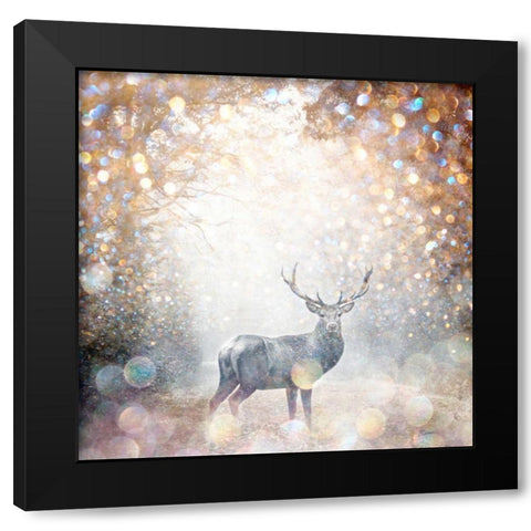Mystical Forest 1 Black Modern Wood Framed Art Print by Jakobs, Beau