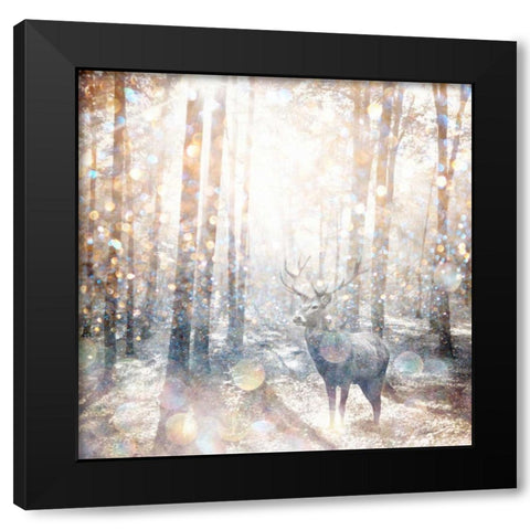 Mystical Forest 2 Black Modern Wood Framed Art Print with Double Matting by Jakobs, Beau