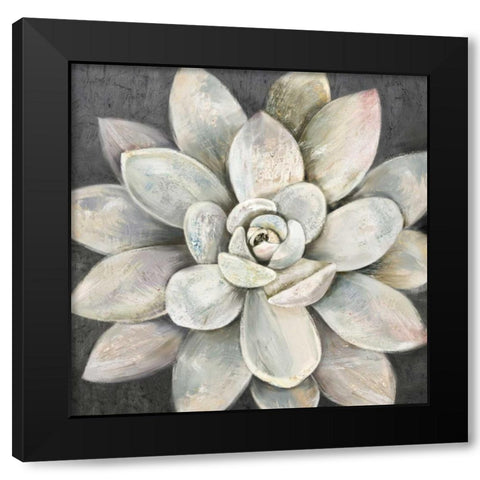 Silver Succulent Black Modern Wood Framed Art Print with Double Matting by Jing, Jin