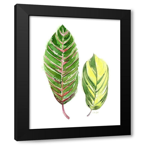 Tropical Variegated Leaf Black Modern Wood Framed Art Print with Double Matting by Jing, Jin