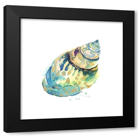 Sea Glass Shell Black Modern Wood Framed Art Print with Double Matting by Jin, Jing