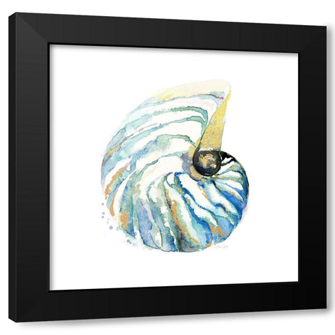 Sea Glass Scallop Black Modern Wood Framed Art Print with Double Matting by Jin, Jing