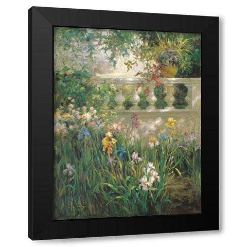 Iris Shadows Black Modern Wood Framed Art Print with Double Matting by Oxley, Vail