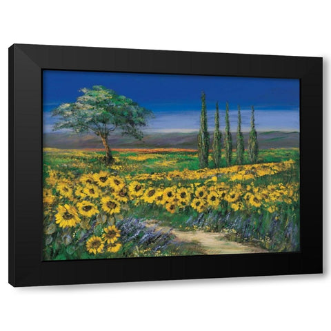 Field of sunflowers Black Modern Wood Framed Art Print by Paleta, Anna