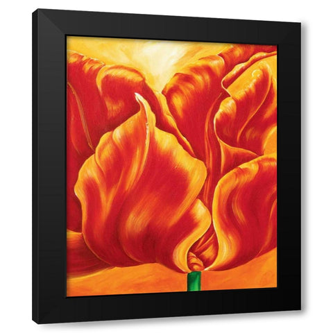 Tripple of tulips II Black Modern Wood Framed Art Print with Double Matting by Frederiks, Beatrix