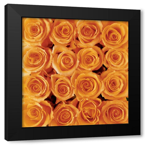 Orange rose creation Black Modern Wood Framed Art Print with Double Matting by met Bloemen, Creatief