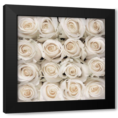 White rose creation Black Modern Wood Framed Art Print with Double Matting by met Bloemen, Creatief