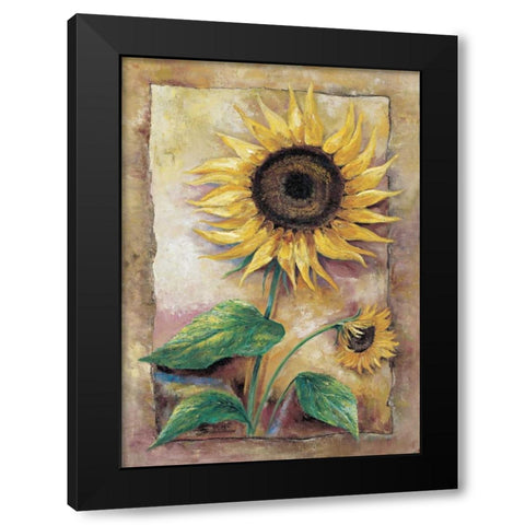 Beautiful sunflower Black Modern Wood Framed Art Print with Double Matting by Withaar, Rian