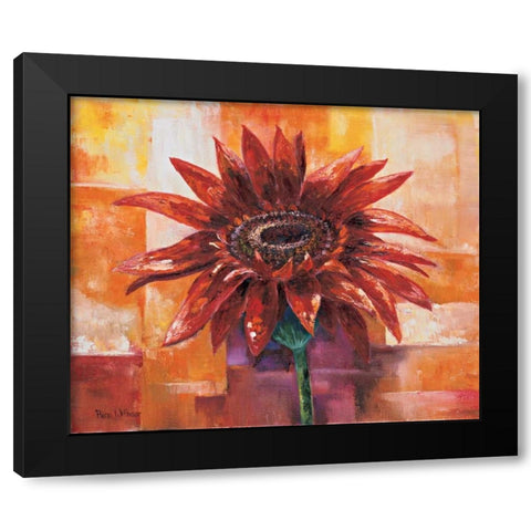 The eye of the flower Black Modern Wood Framed Art Print with Double Matting by Withaar, Rian