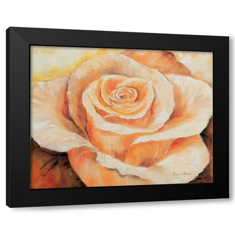 Rose in detail Black Modern Wood Framed Art Print with Double Matting by Withaar, Rian