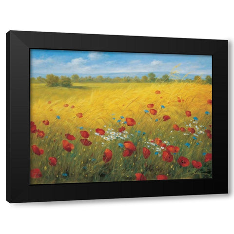 Sparkling field I Black Modern Wood Framed Art Print with Double Matting by Scholnhammer, Heinz