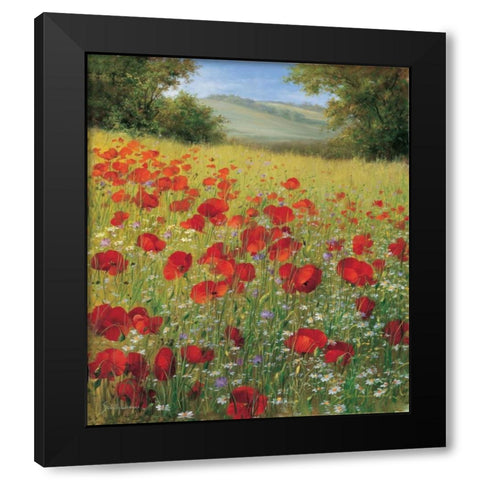 Sparkling field II Black Modern Wood Framed Art Print by Scholnhammer, Heinz