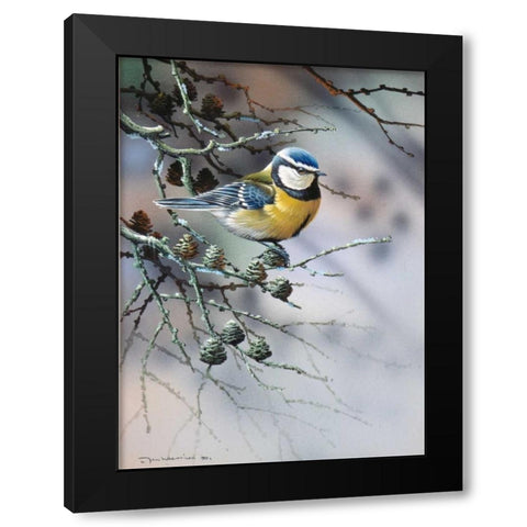 Bird in fir-tree Black Modern Wood Framed Art Print by Weenink, Jan
