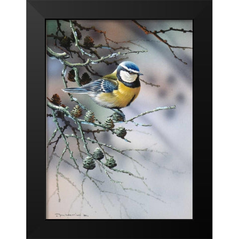 Bird in fir-tree Black Modern Wood Framed Art Print by Weenink, Jan