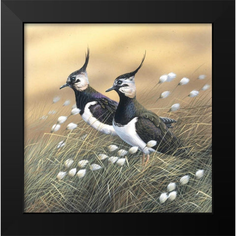 Two lapwings Black Modern Wood Framed Art Print by Weenink, Jan