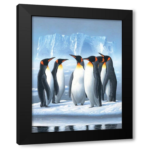 Pinguins Black Modern Wood Framed Art Print with Double Matting by Weenink, Jan
