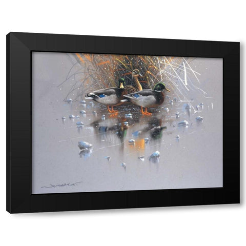 Three ducks Black Modern Wood Framed Art Print by Weenink, Jan