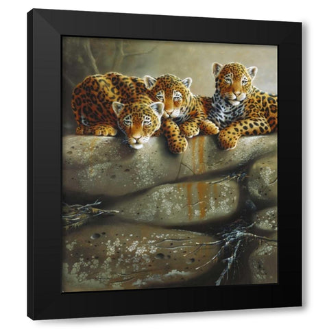 Three little tigers Black Modern Wood Framed Art Print with Double Matting by Weenink, Jan
