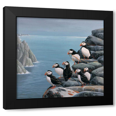 Pinguins Black Modern Wood Framed Art Print by Weenink, Jan
