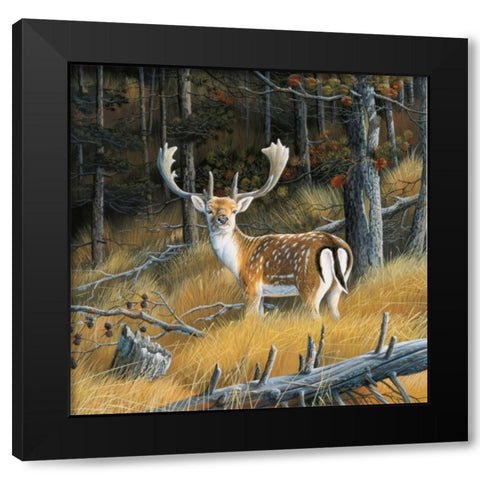 Beautiful deer Black Modern Wood Framed Art Print with Double Matting by Weenink, Jan